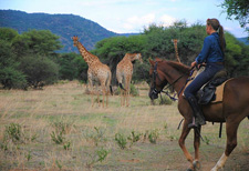 Namibia-Namibia-Sambulenni Horse Safari